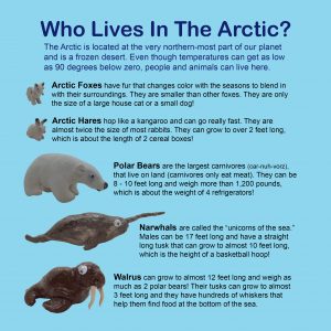GrimlyPg28ArcticGlossary_1.0