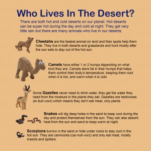 GrimlyPg29DesertGlossary_1.0